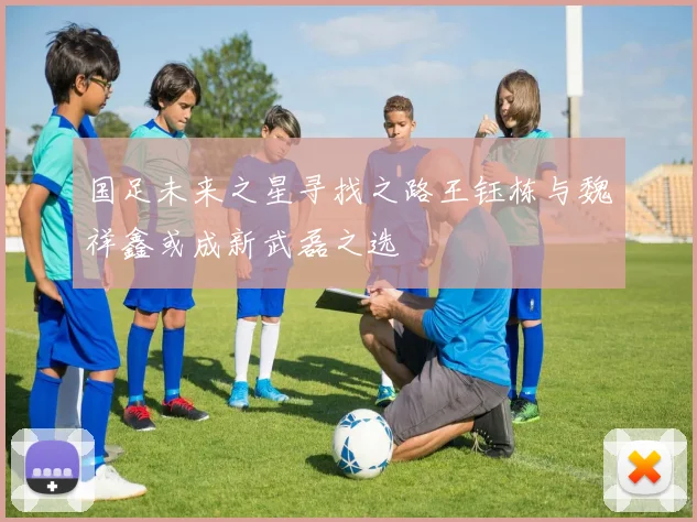 国足未来之星寻找之路王钰栋与魏祥鑫或成新武磊之选